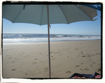 Torn umbrella on deserted beach.
